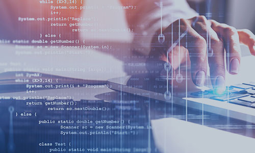 Software Services