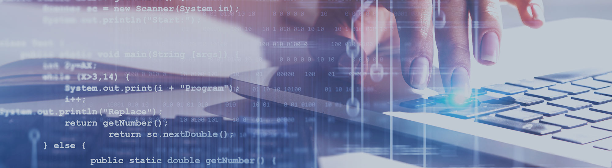 Software Services